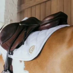 Hot Kentucky Horsewear - Tapis de selle Wave jumping 3D logo Blanc