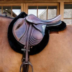 Online Kentucky Horsewear - Tapis de hunter mouton Noir