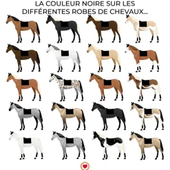 Outlet Kentucky Horsewear - Tapis de dressage basic Noir