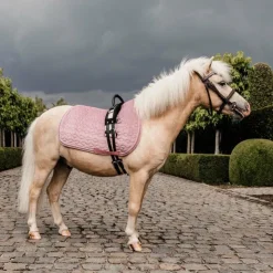 Discount Kentucky Horsewear - Tapis de selle Velvet Jumping Vieux pour minis Rose
