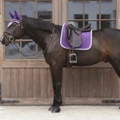 Kentucky Horsewear - Tapis de dressage velvet contrast royal Violet New