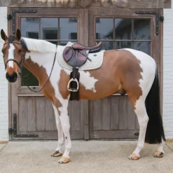 Kentucky Horsewear - Tapis de selle Melange Beige Best