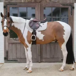 Kentucky Horsewear - Tapis de selle Melange Beige Best