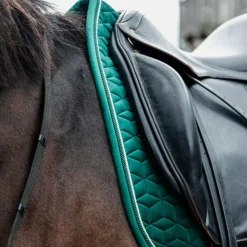 Discount Kentucky Horsewear - Tapis de dressage Velvet foncé Vert
