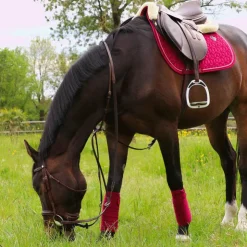 Sale Kentucky Horsewear - Tapis de selle Velvet jumping Fuchsia Rose