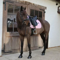Kentucky Horsewear - Tapis de dressage Collection Sammy vieux Rose Outlet