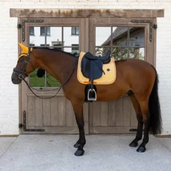 Clearance Kentucky Horsewear - Tapis de dressage Velvet Printing flags Orange