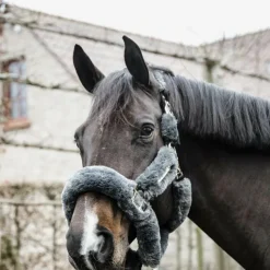 Kentucky Horsewear - Têtière pour licol de transport mouton Gris Sale