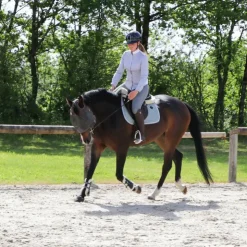 Discount KEP - Casque d'équitation Cromo Shine visière polo Marine