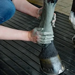 Online Kevin Bacon's - Argile rafraîchissante de Manicouagan