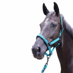 Best Lami-cell - Longe d'attache Charming turquoise Bleu