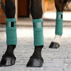 Online LeMieux - Bande de polo Loire Sage vert (x4)