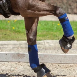 LeMieux - Bandes de polo Benetton Blue (x4) Hot