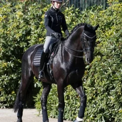 LeMieux - Bandes de polo Loire (x4) Noir Outlet