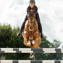 Clearance LeMieux - Bonnet pour chevaux long Puissance Marron