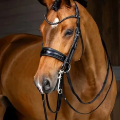 Sale LeMieux - Bride Kudos Noir