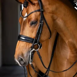 Sale LeMieux - Bride Kudos Noir