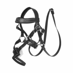 LeMieux - Bridon à muserolle croisée pour Toy Pony Grackle Noir