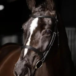 LeMieux - Bridon Arika Cavesson / argent Noir Hot