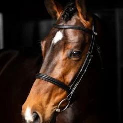 LeMieux - Bridon Arika Cavesson / argent Noir Hot