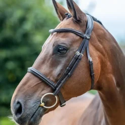 Sale LeMieux - Bridon Arika Cavesson / argent Marron
