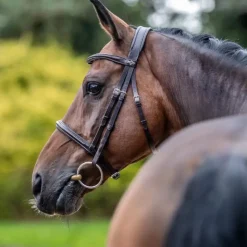 Sale LeMieux - Bridon Arika Cavesson / argent Marron