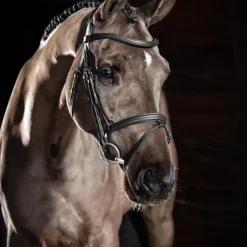 Online LeMieux - Bridon Arika Flash / argent Noir