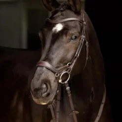 Outlet LeMieux - Bridon Arika muserolle basse / argent Marron