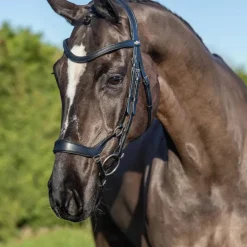 LeMieux - Bridon Arika muserolle basse / argent Noir Sale