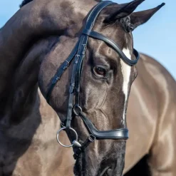 LeMieux - Bridon Arika muserolle basse / argent Noir Sale