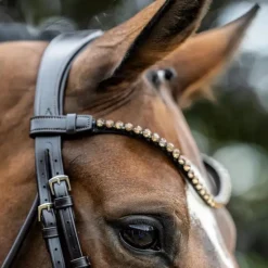 LeMieux - Bridon de dressage Kudos Patent Marron New