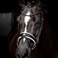 LeMieux - Bridon de dressage Kudos Patent / blanc Noir