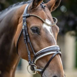 LeMieux - Bridon de dressage Kudos Patent / blanc Marron Hot