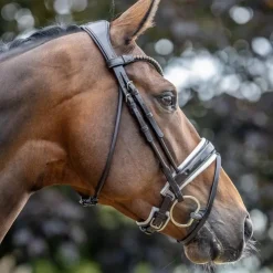 LeMieux - Bridon de dressage Kudos Patent / blanc Marron Hot