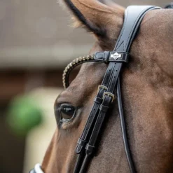 LeMieux - Bridon de dressage Kudos Patent / blanc Marron Hot