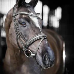 LeMieux - Bridon de dressage Arika / argent Noir Discount