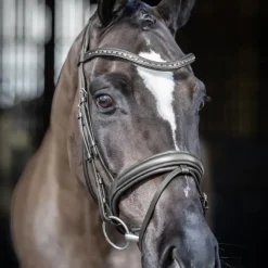 LeMieux - Bridon de dressage Arika / argent Noir Discount