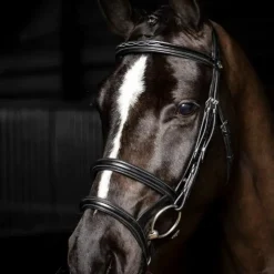 Best LeMieux - Bridon double muserolle Kudos / argent Noir