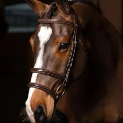 LeMieux - Bridon double muserolle Kudos havane/ laiton Marron Best