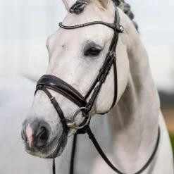 LeMieux - Bridon Kudos Classic Dressage Marron Hot