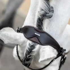 LeMieux - Bridon Kudos Classic Dressage Marron Hot