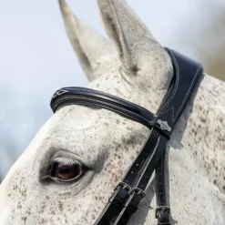 Discount LeMieux - Bridon Kudos Competition Flash Noir