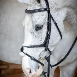 LeMieux - Bridon Kudos Grackle muserolle croisée Noir Sale