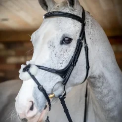 LeMieux - Bridon Kudos Grackle muserolle croisée Noir Sale