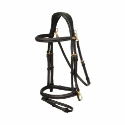 Online LeMieux - Bridon Kudos Work Marron