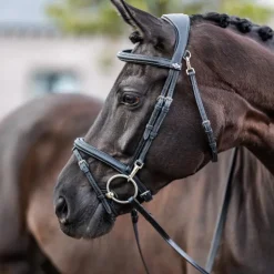 LeMieux - Bridon Kudos Work Noir Clearance