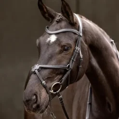 Online LeMieux - Bridon muserolle croisée Arika / argent Noir