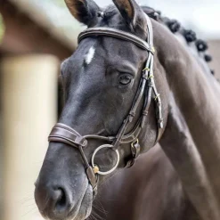 Clearance LeMieux - Bridon muserolle anatomique Kudos havane Marron