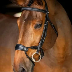 Sale LeMieux - Bridon muserolle anatomique Kudos Noir