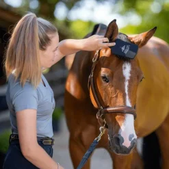 New LeMieux - Brosse à crins Heritage Tangle Tidy Noir